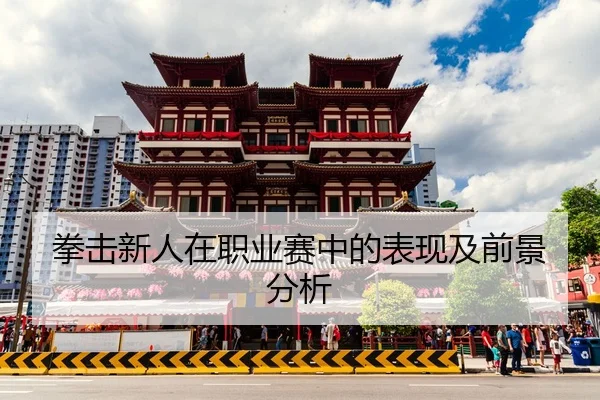 quan-ji-xin-ren-zai-zhi-ye-sai-zhong-de-biao-xian-ji-qian-jing-fen-xi-2-122.jpg