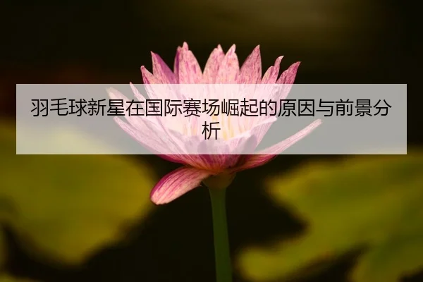 yu-mao-qiu-xin-xing-zai-guo-ji-sai-chang-jue-qi-de-yuan-yin-yu-qian-jing-fen-xi-2-717.jpg