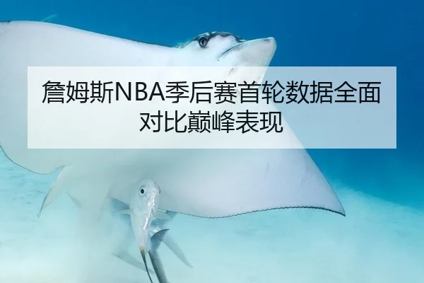 詹姆斯NBA季后赛首轮数据全面对比巅峰表现