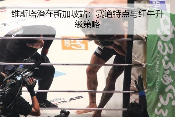 维斯塔潘在新加坡站：赛道特点与红牛升级策略